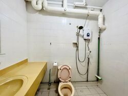 Blk 525 Pangshan Valley (Bukit Panjang), HDB Executive #554120371